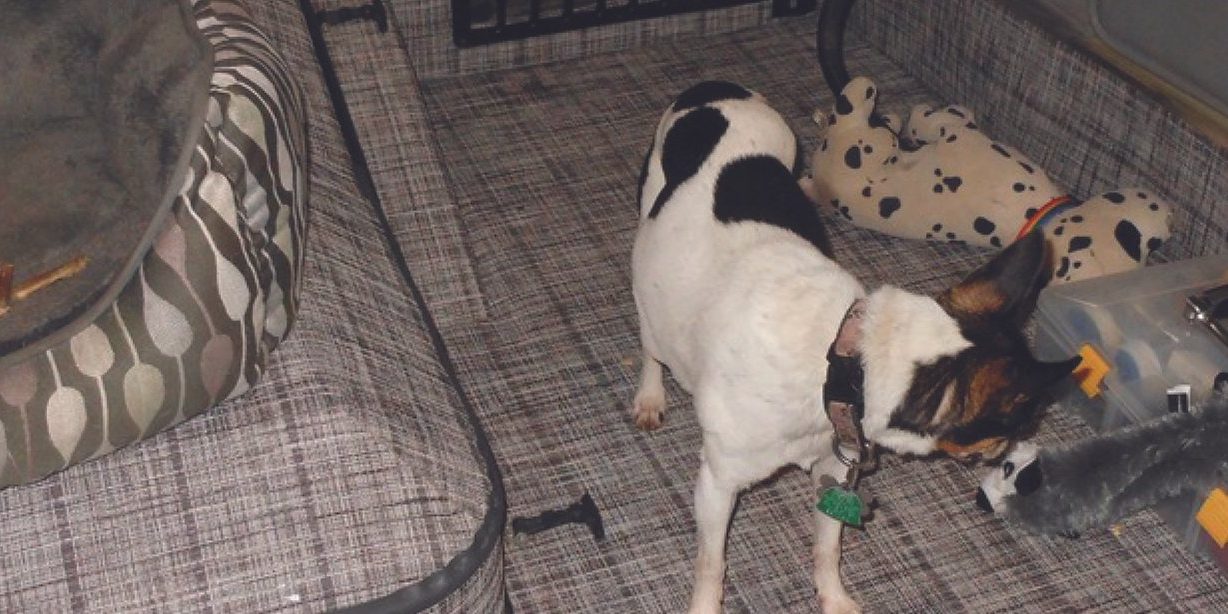 Untitled-39_2048x2048