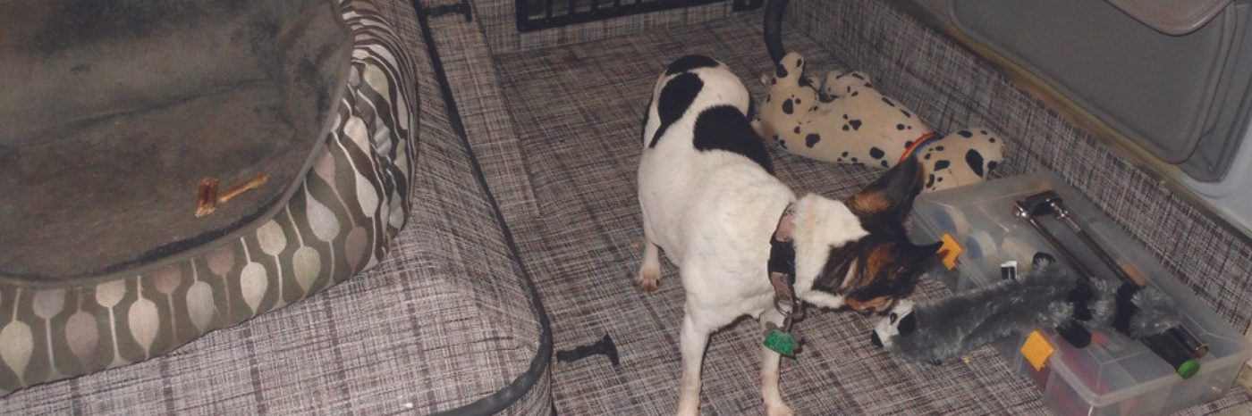 Untitled-39_2048x2048