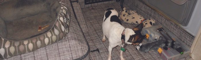 Untitled-39_2048x2048